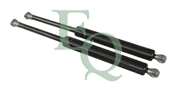 EQUAL QUALITY MG09021: Gaasivedru, pagasi- / veoruum