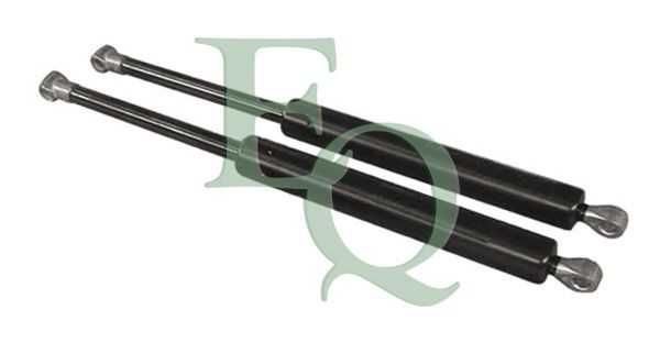 EQUAL QUALITY MG09371: Gaasivedru, pagasi- / veoruum