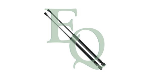 EQUAL QUALITY MG23051: Gaasivedru, pagasi- / veoruum kahepoolne, 508mm