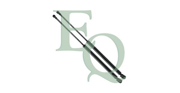EQUAL QUALITY MG23241: Gaasivedru, pagasi- / veoruum kahepoolne, 567mm