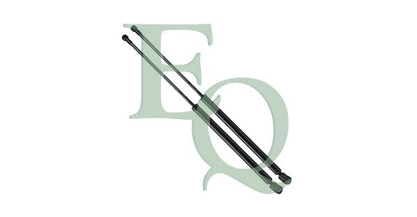 EQUAL QUALITY MG23251: Gaasivedru, pagasi- / veoruum kahepoolne, 576mm