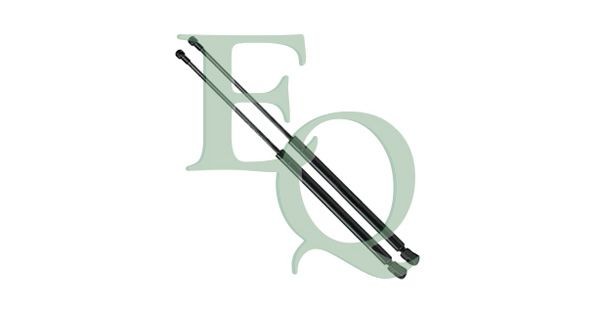 EQUAL QUALITY MG24071: Gaasivedru, pagasi- / veoruum