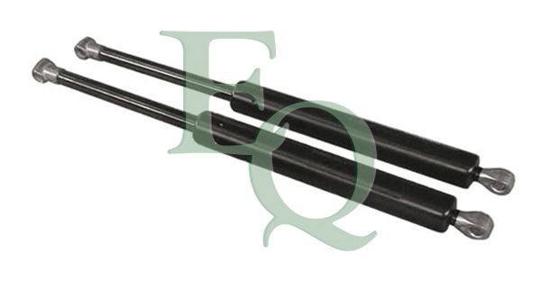 EQUAL QUALITY MG36011: Gaasivedru, pagasi- / veoruum