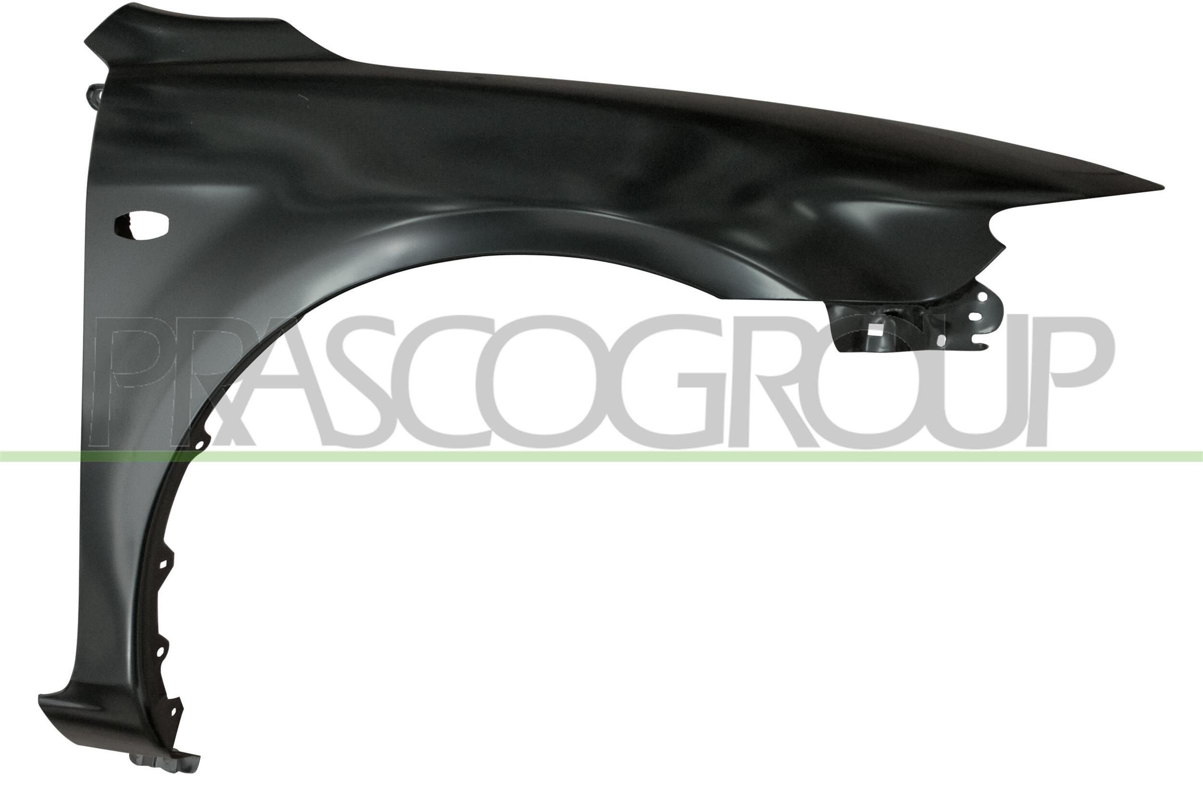 PRASCO MZ0493033: Poritiib ees paremal, Premium