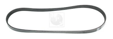 NPS N111N57: Curea transmisie cu caneluri 1025mm, Numar nervuri: 6