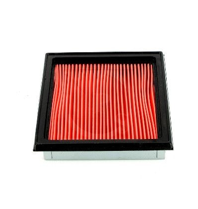 NPS N132N30: Gaisa filtrs