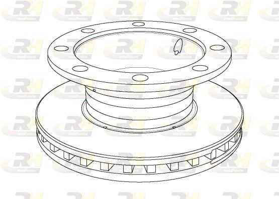 ROADHOUSE NSX1106.20: Disc de frână puntea spate, Ř: 377mm, ventilat, Ř: 377mm