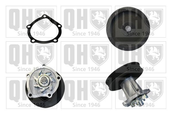QUINTON HAZELL QCP3759: Pompa apa