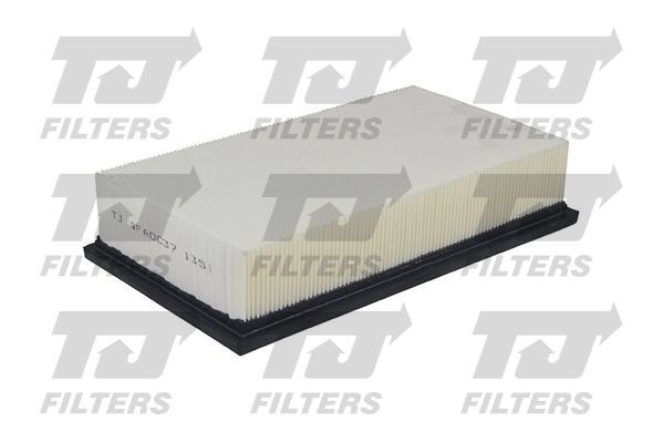 QUINTON HAZELL QFA0037: Filtro aria TJ Filters