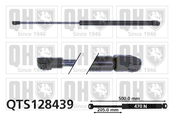QUINTON HAZELL QTS128439: Gaasivedru, pagasi- / veoruum 500mm