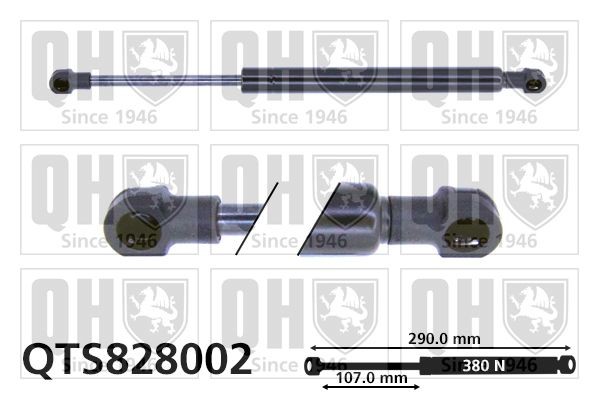 QUINTON HAZELL QTS828002: Gaasivedru, pagasi- / veoruum 290mm