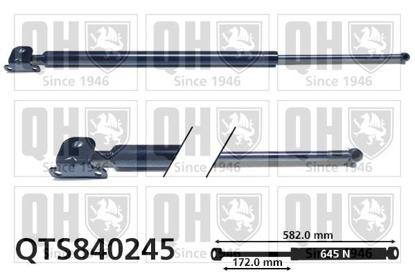 QUINTON HAZELL QTS840245: Gaasivedru, pagasi- / veoruum 582mm