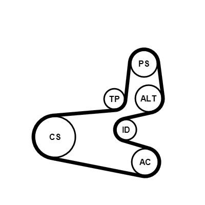 CONTITECH 6PK1560K1: Kit Cinghie Poly-V