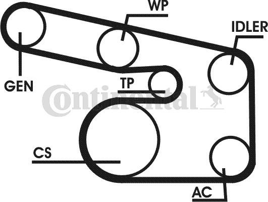 CONTITECH 6PK1870D1: Set curea transmisie cu caneluri