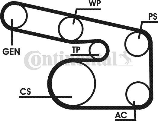 CONTITECH 6PK1900D1: Soonrihmakomplekt