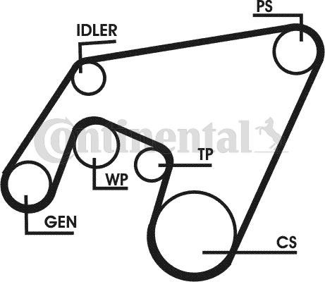 CONTITECH 6PK2196D1: Soonrihmakomplekt