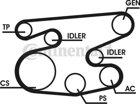 CONTITECH 6PK2236D1: Soonrihmakomplekt