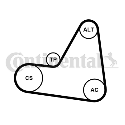 CONTITECH 7PK2035D1: Set curea transmisie cu caneluri