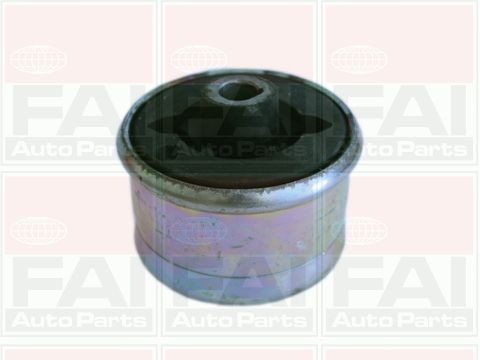 FAI AutoParts SS2223: Feste, styrestag