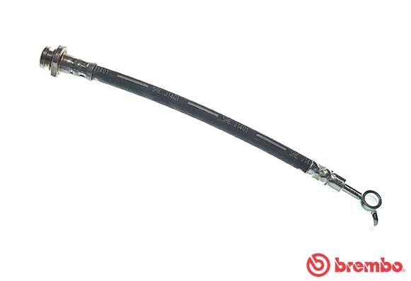 BREMBO T 56 162: Stabdžių žarnelė ESSENTIAL LINE 255mm