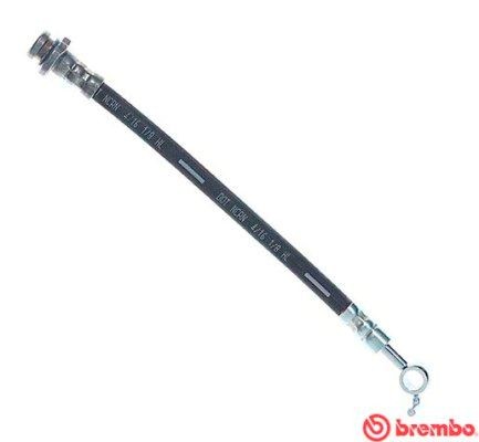 BREMBO T 56 163: Stabdžių žarnelė ESSENTIAL LINE 255mm