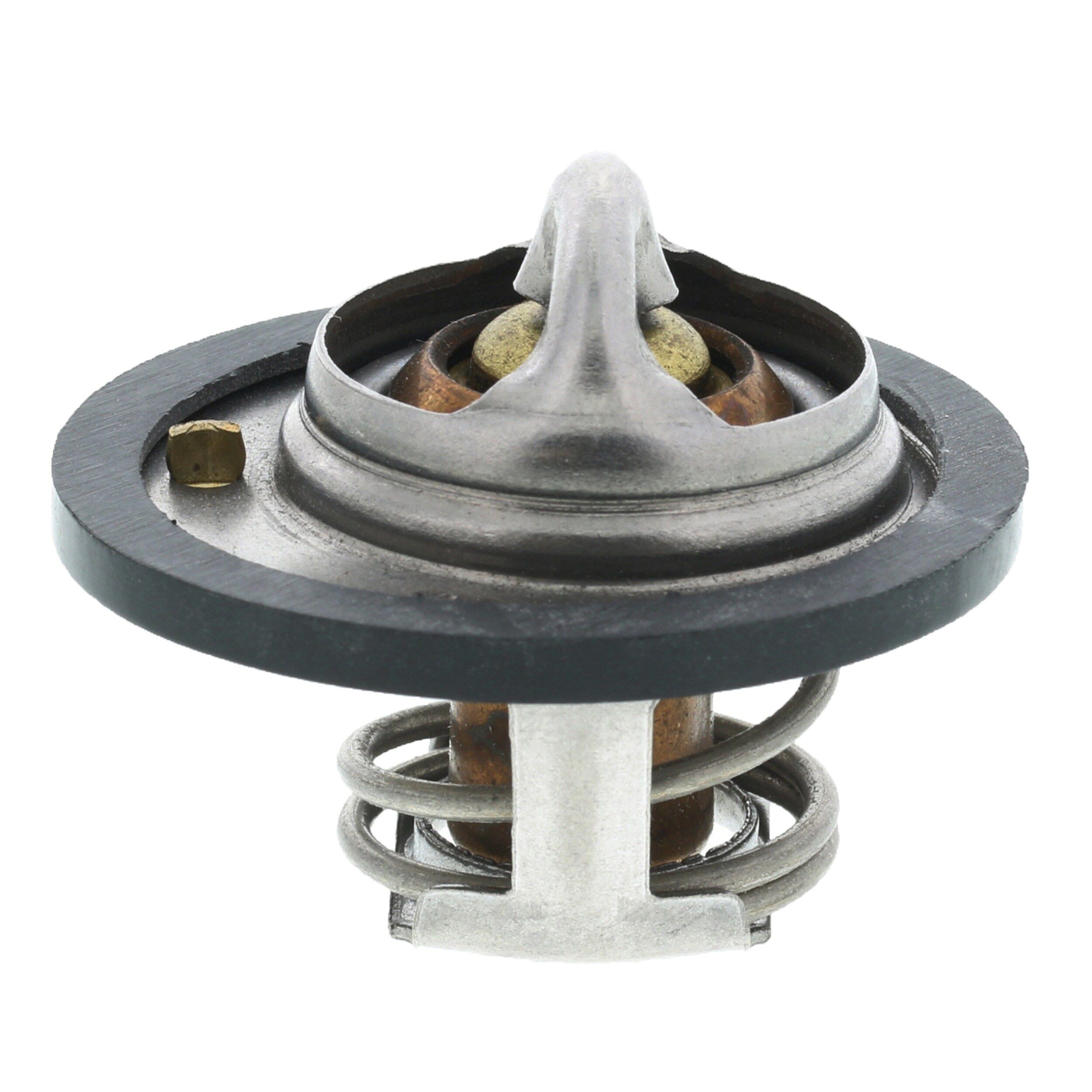 MOTORAD T-13R2: Tappo, radiatore