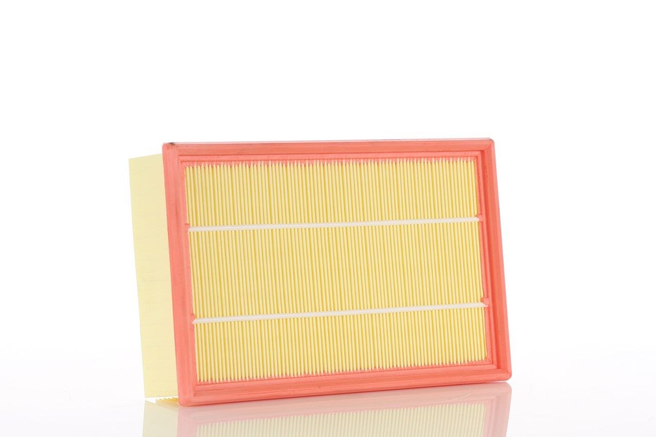 PZL Filters WA50531: Filtru aer