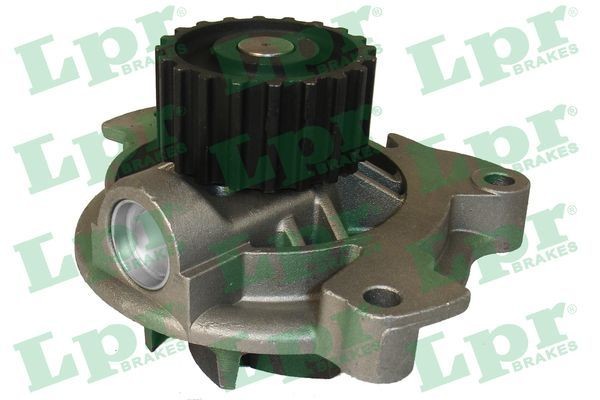 LPR WP0495: Veepump Hamm.hulk: 20