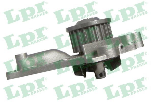 LPR WP0542: Veepump Hamm.hulk: 23