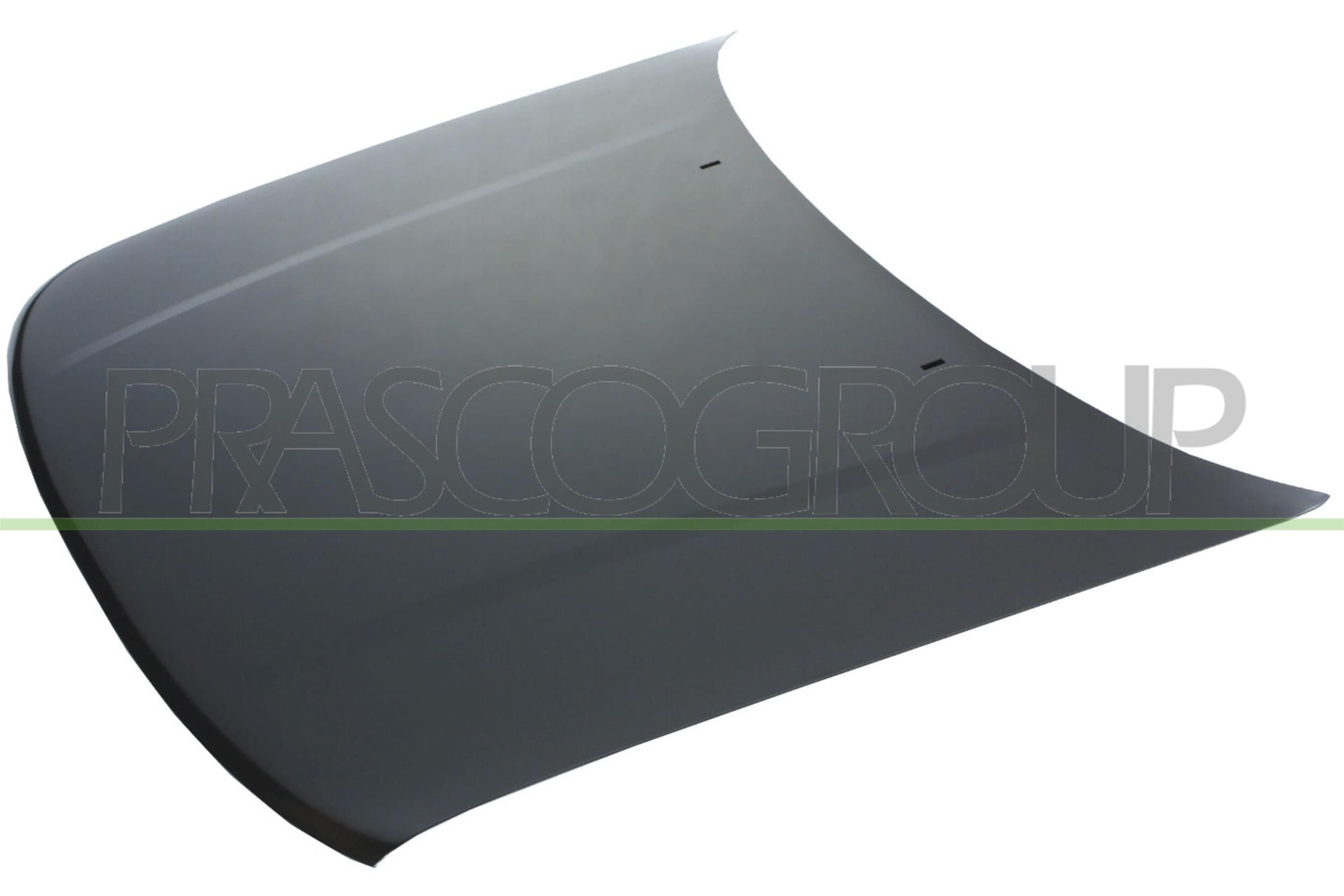 PRASCO VG0513100: Capot
