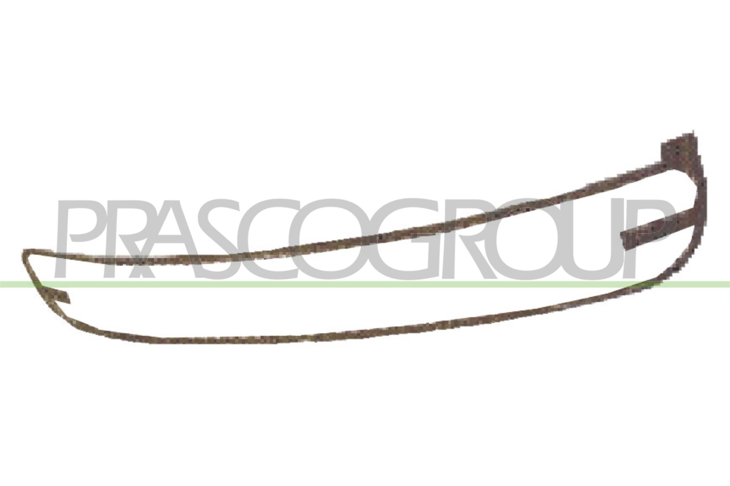 PRASCO VG4202315: Telaio, Griglia radiatore
