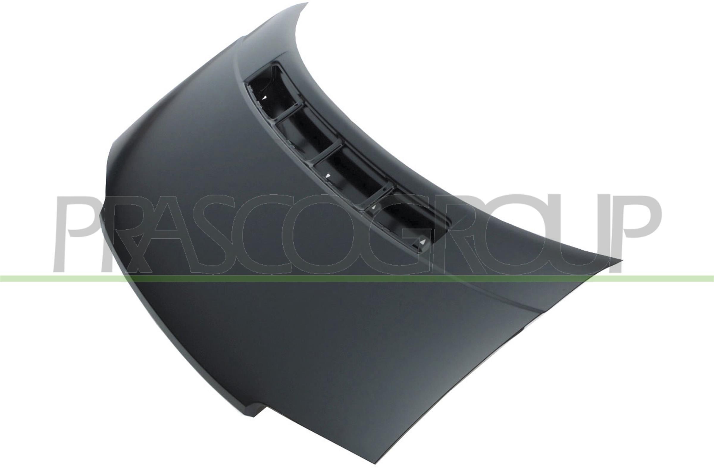 PRASCO VG9133100: Kapott