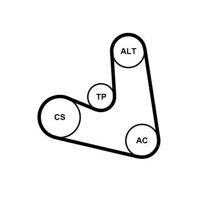 CONTITECH 4PK654K1: Set curea transmisie cu caneluri