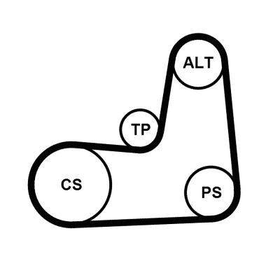 CONTITECH 5PK1135K2: Jeu de courroies trapézoïdales à nervures