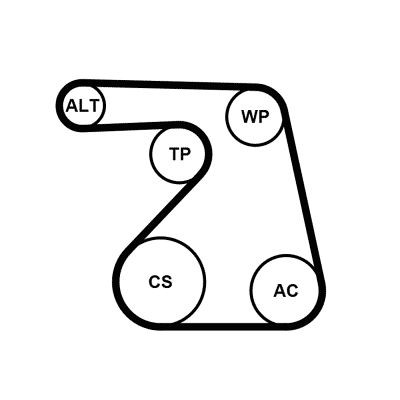CONTITECH 6PK1217K2: Set curea transmisie cu caneluri