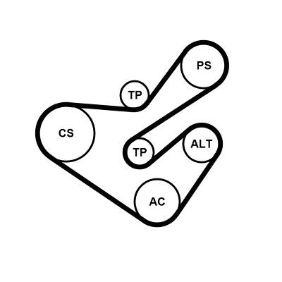 CONTITECH 6PK1733K5: Sada zebrovanych klinovych remenu