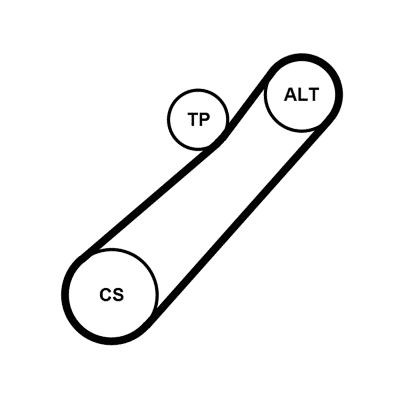 CONTITECH 7PK880K1: Set curea transmisie cu caneluri