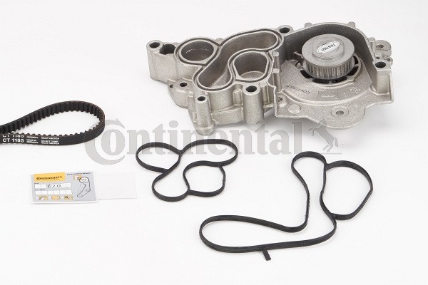 CONTITECH CT1185WP1: Veepump + hammasrihmakomplekt Hamm.hulk: 81, Laius: 10mm