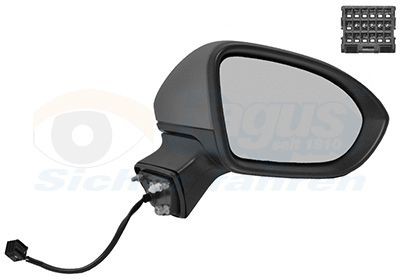 VAN WEZEL 3810808: Oglinda exterioara * HAGUS * dreapta