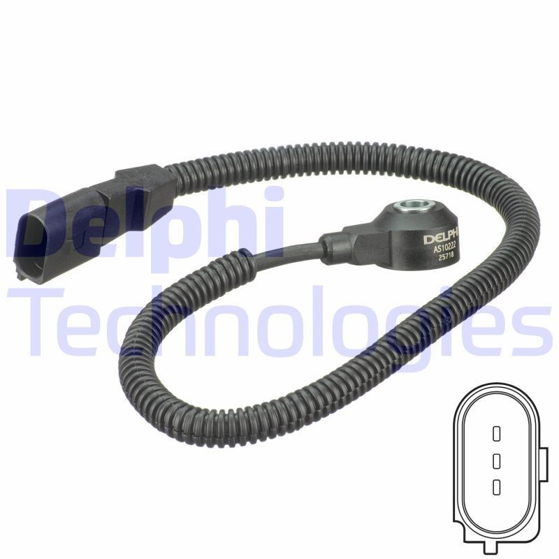 DELPHI AS10222: Detonatsiooniandur