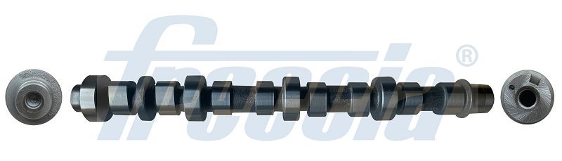 FRECCIA CM05-2283: Ax cu came Partea de admisie