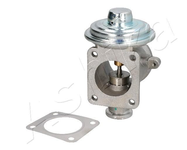 ASHIKA 150-00-0102: EGR-klapp