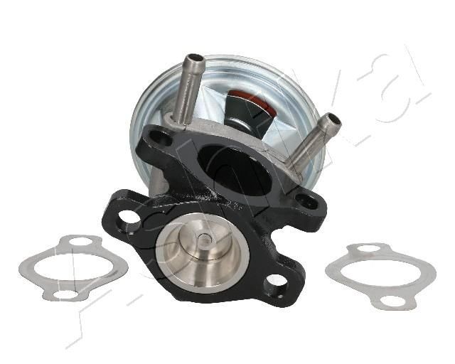 ASHIKA 150-00-0208: EGR-klapp