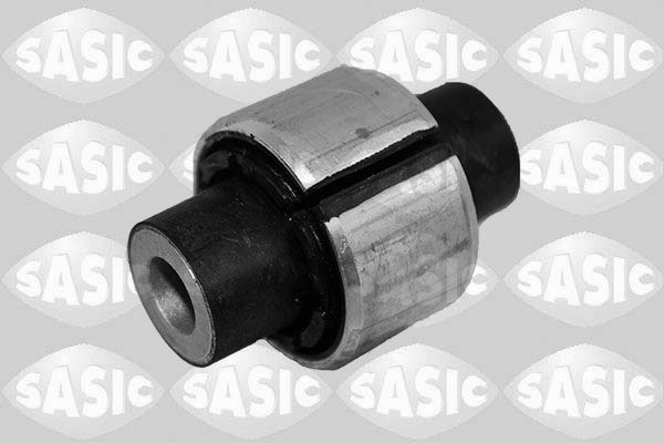 SASIC 2256089: Puks Tagasild, taga