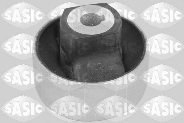 SASIC 2256093: Puks Esisild, taga, all