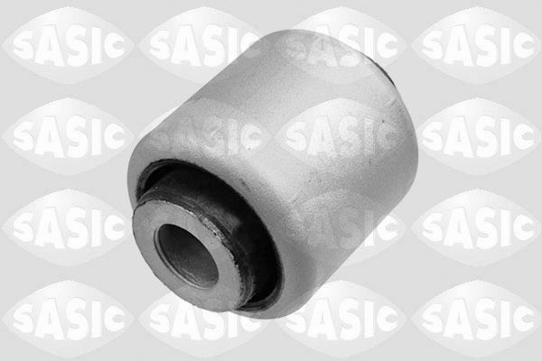 SASIC 2256095: Puks Esisild, ees, all