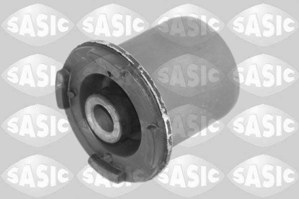 SASIC 2256097: Puks Esisild, taga, all