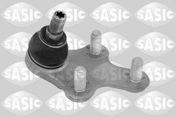 SASIC 7570009: Kande- / juhtliigend Esisild, all