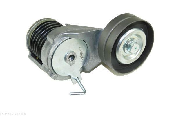 AUTOMEGA 210155810: Intinzator, curea transmisie