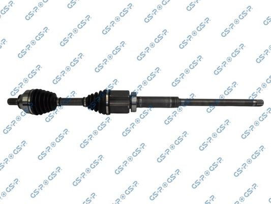 GSP 262100: Planetara 954mm